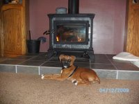 smallpup2.JPG