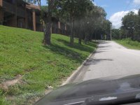 BLUFF HOUSE 001.jpg