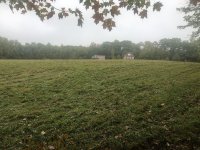 IMG_4162.jpeg