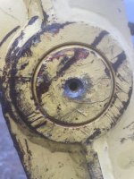 IMG_3522.jpeg