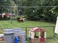 IMG_4168.jpeg