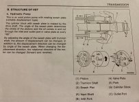 IMG_6033.jpeg