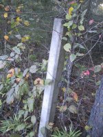 Fencepost.jpg