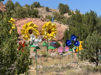 IMG_3886[1].JPG