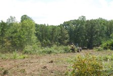 Land Clearing 054.jpg