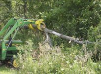 BC-3000downedtree.jpg