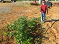 21 May 09 004 (Small).jpg