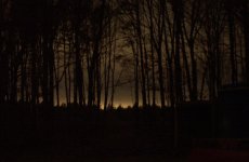 335411-FieldGlow.jpg