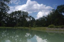 292445-Pond, July 12-1-1.jpg