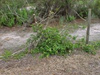 292788-9.jpg