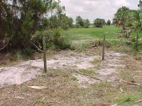 292795-23.jpg