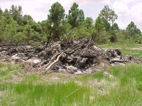 292807-30.jpg
