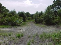 292808-lc2.jpg