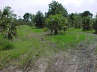 292810-lc3.jpg