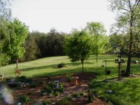 5-141510-FrontYard.JPG
