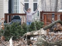 245559-Tree (12a).JPG