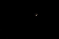 336637-MoonEclipse_crop.jpg