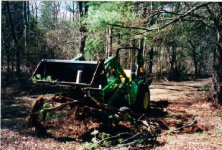 10-145208-4310poppingstumps.JPG