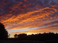 336690-sunset.jpg