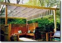 294346-shadetree.jpg