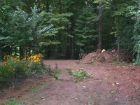294897-Pic.JPG