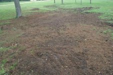 2009 - Stump Grinding 29_resize.JPG