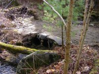 Brook 008.jpg