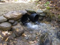 Brook 009.jpg