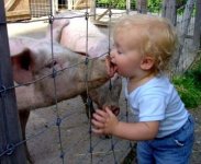 Piggy-wiggy.jpg