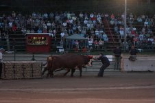 IMG_2965.jpg