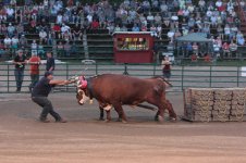 IMG_2954.jpg
