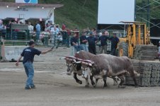 IMG_2726.JPG