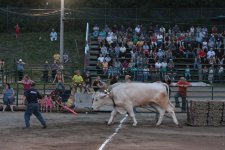 IMG_2937.JPG