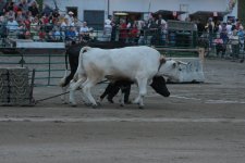 IMG_2789.JPG