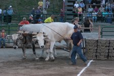 IMG_2904.JPG