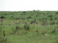 Colorado 061 (Small).jpg