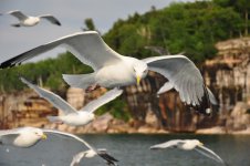 vacation 09-2.jpg