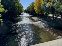 IMG_3922[1].JPG