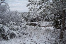Valentines Day Snow02.jpg