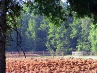 June08 035.jpg