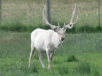Colorado 473 (Small).jpg