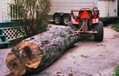 maple log 1.jpg