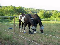 IMG_3521.JPG