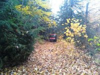 downsized_1024091620.jpg