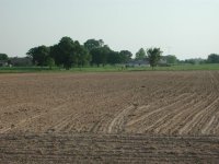 33-143666-ready_to_plant2.jpg