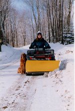 296640-Wife plowing with Mozy.jpg