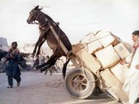 10-120282-Overload.jpg