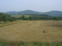 297143-Hay lower.JPG