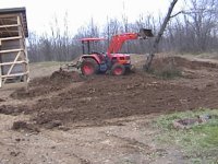 339448-Tree over.JPG