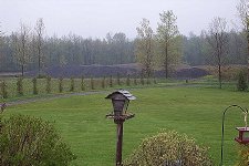 33-147651-by.jpg